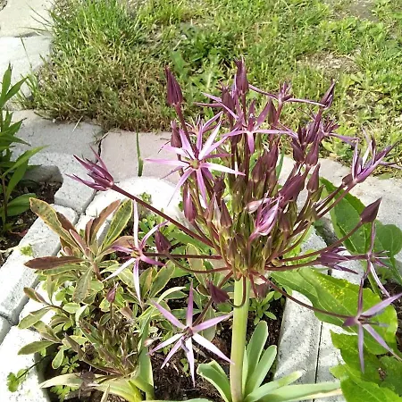 Ubytování v soukromí Gstoderblick