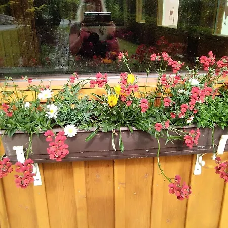 Alloggio in famiglia Gstoderblick