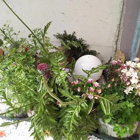 Gstoderblick * Seebach (Styria)