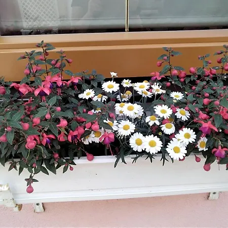 Ubytování v soukromí Gstoderblick *