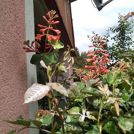 Gstoderblick *