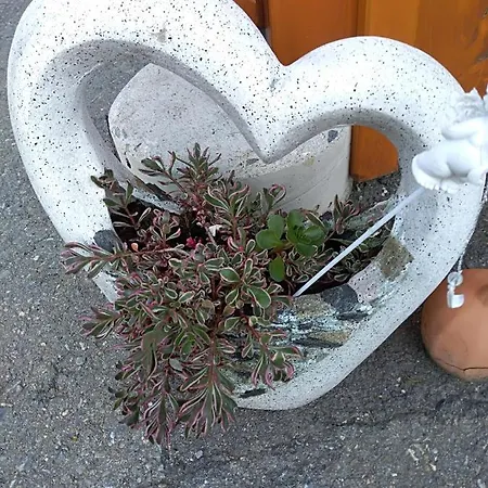 Alloggio in famiglia Gstoderblick Seebach (Styria)