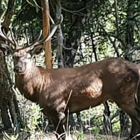 Ubytování v soukromí Gstoderblick