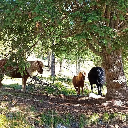 Gstoderblick Seebach (Styria)