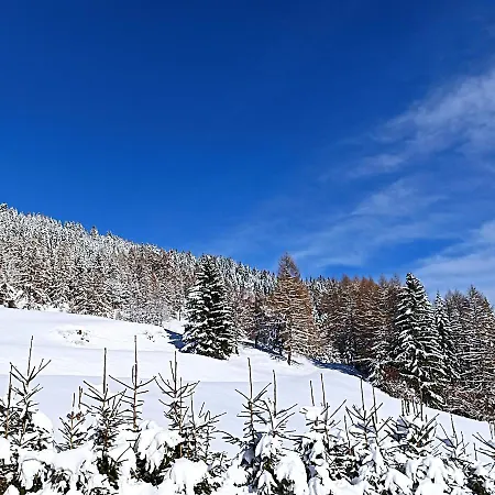 哥斯托德尔布里克度假屋 Seebach (Styria)