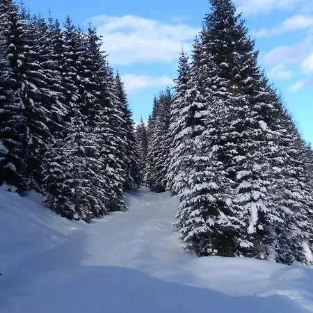 哥斯托德尔布里克度假屋 Seebach (Styria)