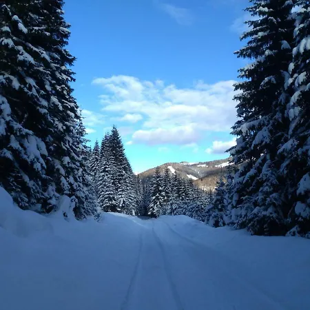 Gstoderblick Seebach (Styria)