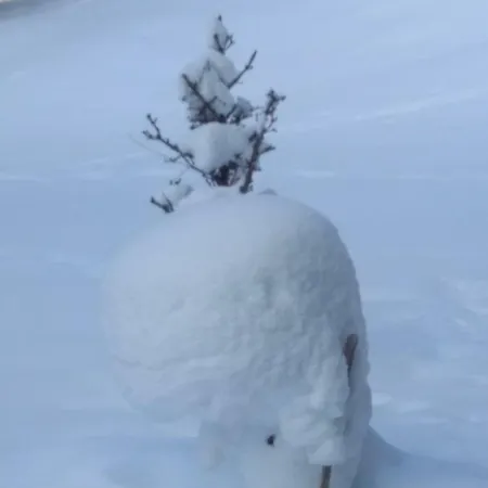 Gstoderblick منزل للإقامة Seebach (Styria)