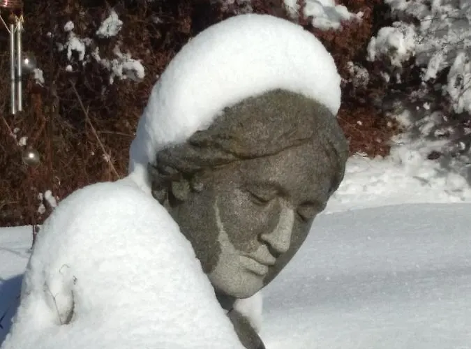 Gstoderblick ホームステイ Seebach