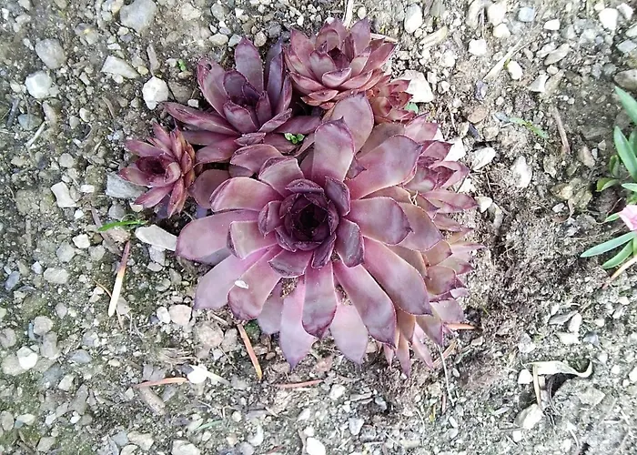 Gstoderblick Homestay szállás Seebach