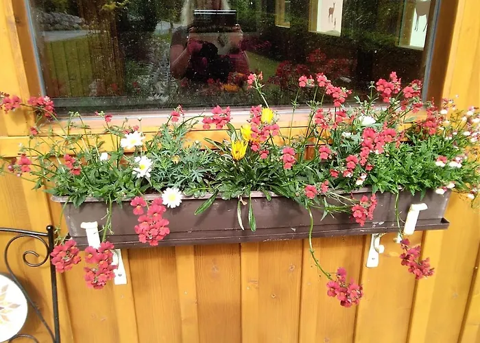 Homestay szállás Gstoderblick