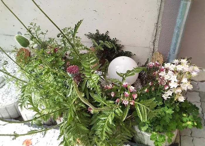 Gstoderblick * Seebach