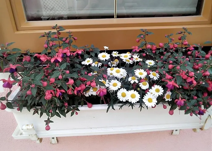 Homestay szállás Gstoderblick *