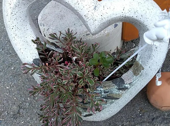 Homestay szállás Gstoderblick Seebach