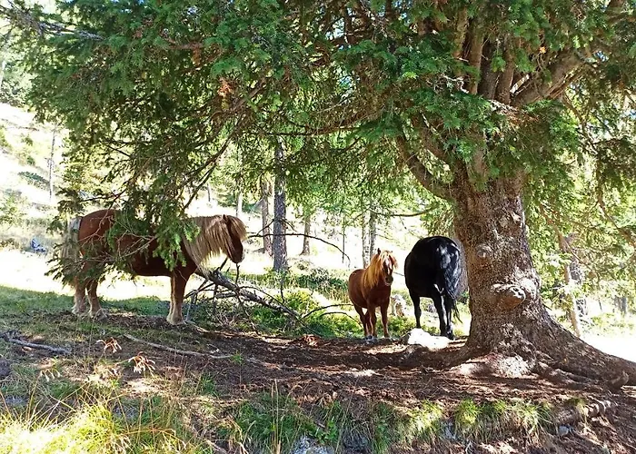 Gstoderblick Seebach