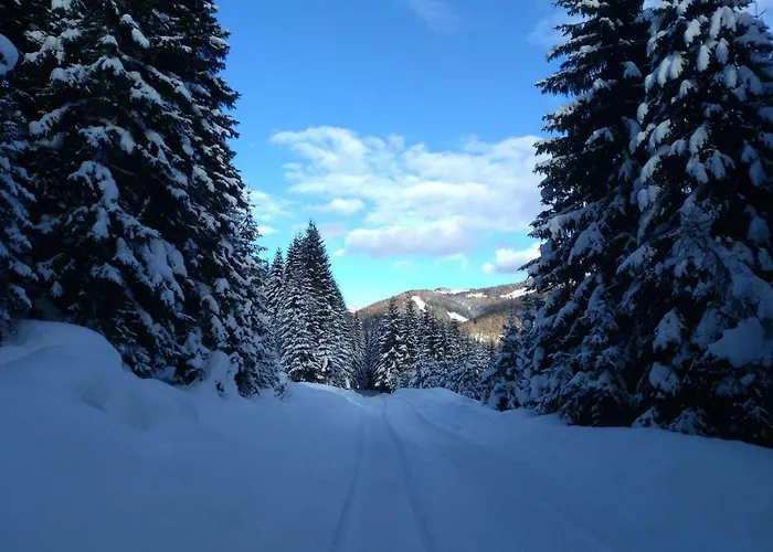 Gstoderblick Seebach (Styria)