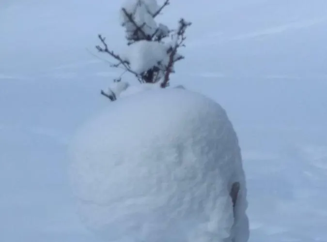 Gstoderblick Homestay Seebach (Styria)